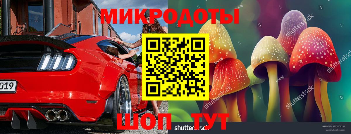 Шадринск  Псилоцибиновые грибы прущие грибы  Вход с VPN 